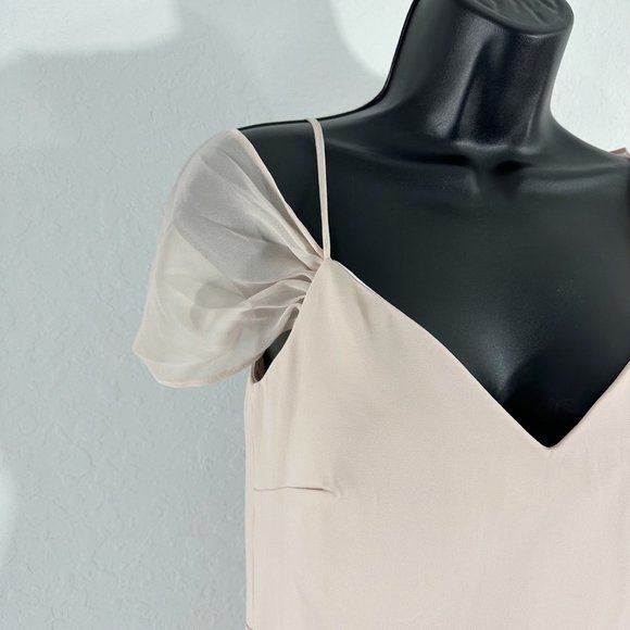 Birdy Grey Devin Convertible Chiffon Long Dress Gown Pale Blush Pink Extra Small - Picture 13 of 16